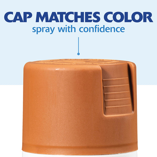 Rust Oleum Painter's Touch 2x Satin Wrm Spray Project Weekend DIY