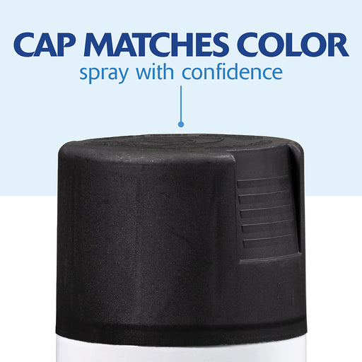 Rust Oleum Painter's Touch 2x Flat Black Spray Project Weekend DIY