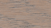 ZAR Interior Oil Base Stain, Silk Gray, Half Pint color sample